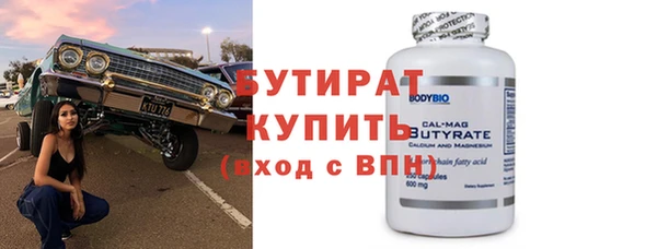 индика Белая Холуница