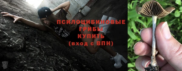 mdpv Алексин