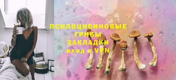 тгк Алзамай