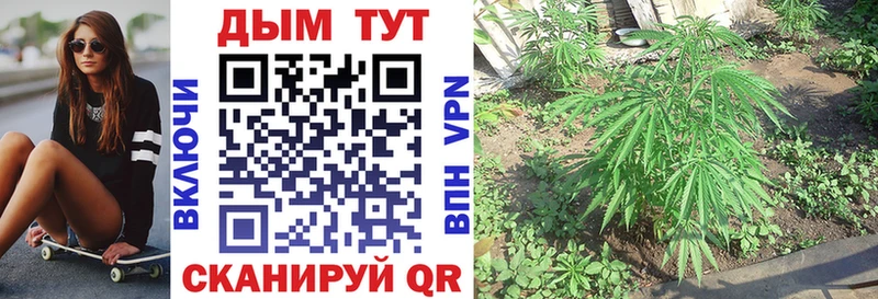 мориарти состав  Старая Купавна  МАРИХУАНА марихуана 